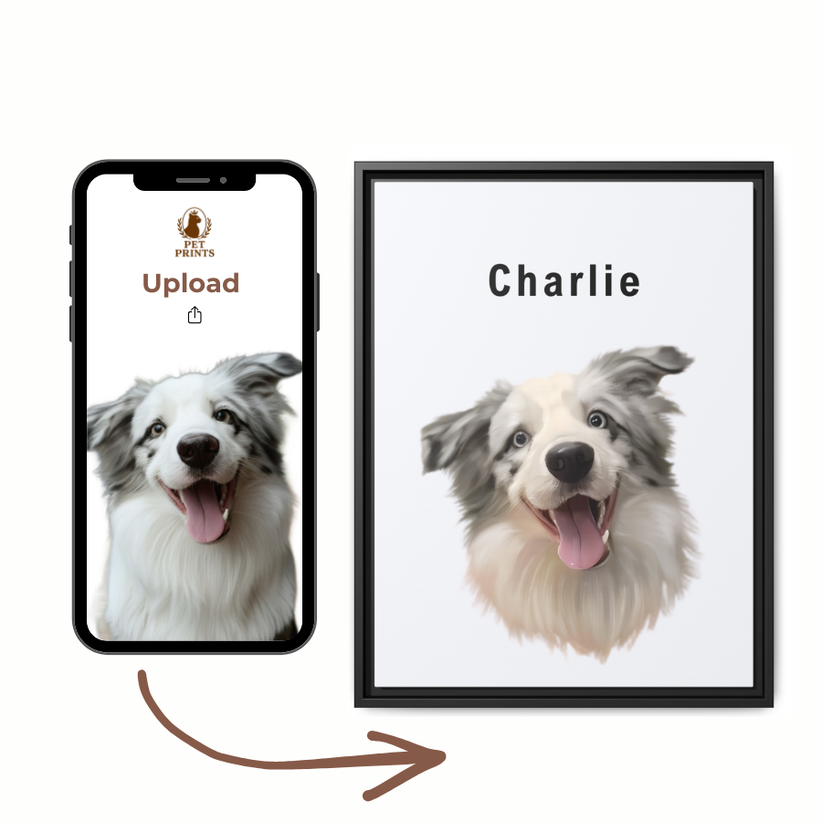 custom pet portraits in minimalist style